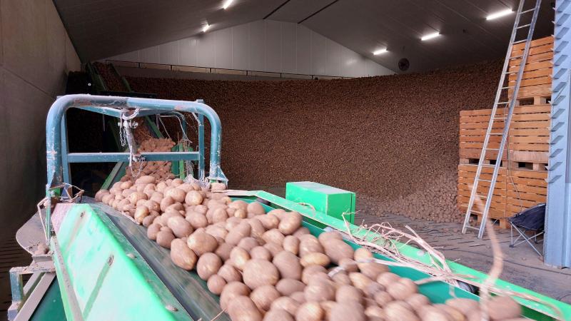 De Belgapomnotering wijzigde niet op 7 november.