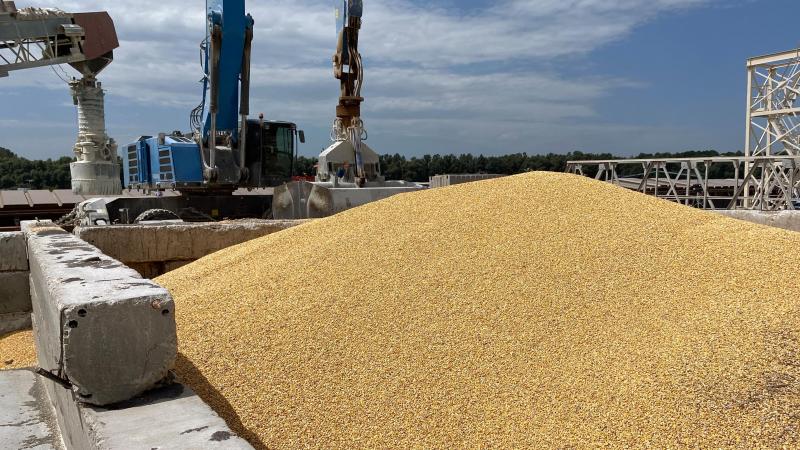 De maïsoogst in Oekraïne heeft vertraging tegenover vorige jaren. Bovendien belemmert schade aan de spoorweg-infrastructuur de levering van maïs aan havens.