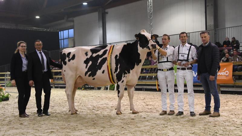 Het Brussels Gewest verbiedt sinds 2024 om levende dieren  tentoon te stellen op markten, beurzen, dierententoonstellingen en bij soortgelijke  gelegenheden.