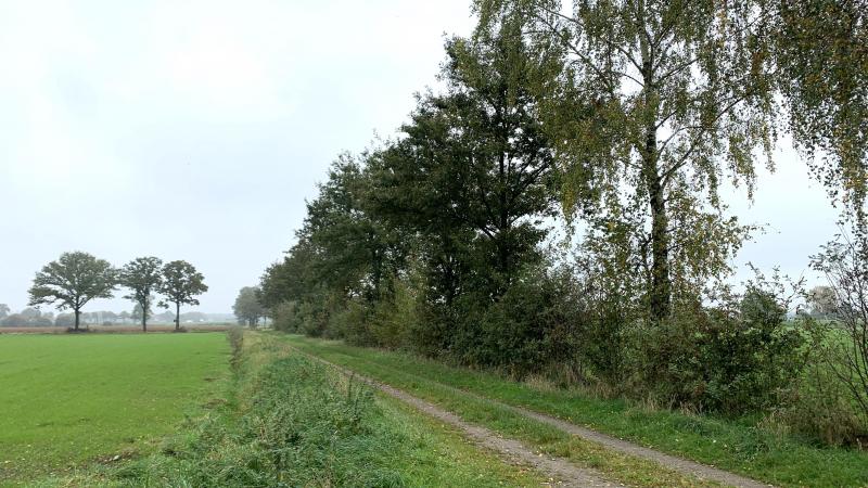 Houtkanten bevorderen de waterhuishouding en helpen tegen erosie.
