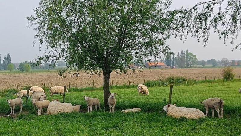 Beschutting bieden wordt straks overal verplicht, zowel in de zomer als in de winter