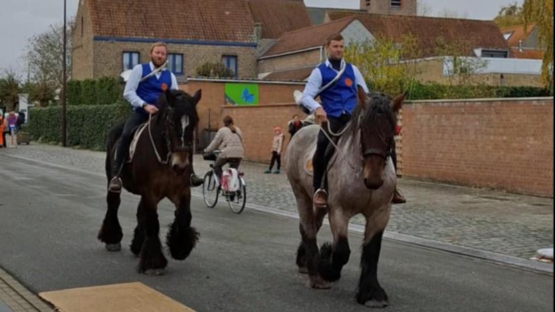 De paardenwijding in Vlissegem vond plaats op 2 november.