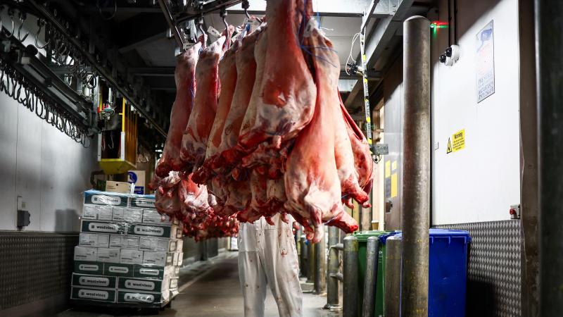 China heft meer dan 60% heffingen op de invoer van Belgisch varkensvlees.