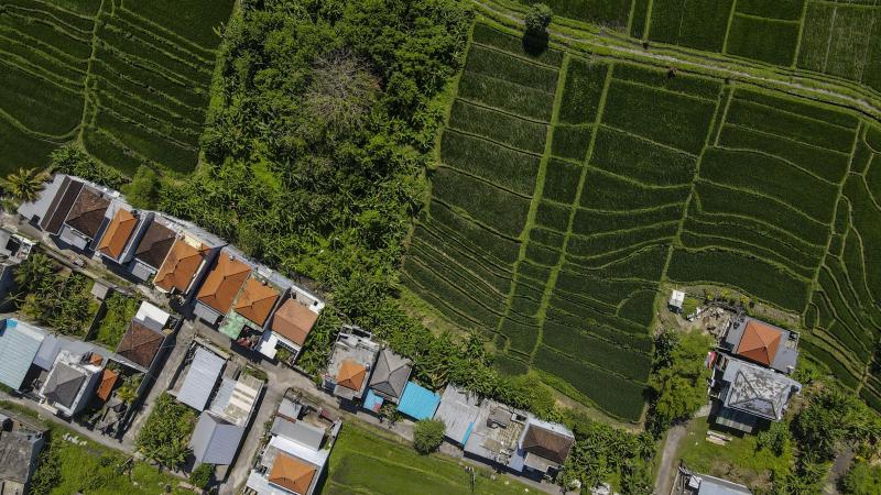 Met onder andere een beter management van het water dat wordt gebruikt voor de rijstproductie kan al heel wat minder methaan uitgestoten worden.