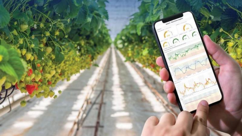Agri Investment Fund (AIF) investeert 2,7 miljoen euro in Vivent Biosignals, de Zwitserse pionier op het gebied van ‘wearables voor planten’.