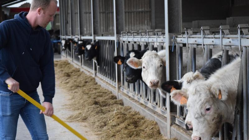 Vleesveehouder Pieter-Jan Van Schaftingen moet net zoals alle rundveehouders 5% stikstofuitstoot reduceren.