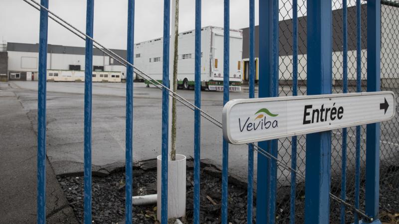 Zeven jaar na datum is het proces Veviba nog steeds hangende.