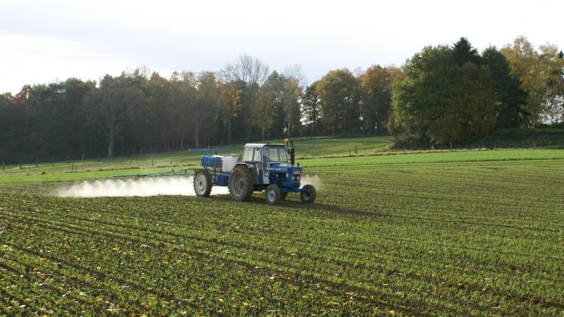 De Raad van State vernietigde de vergunning om de middelen op basis van abamectine tot 2039 in te zetten in open lucht en onder tunnels.