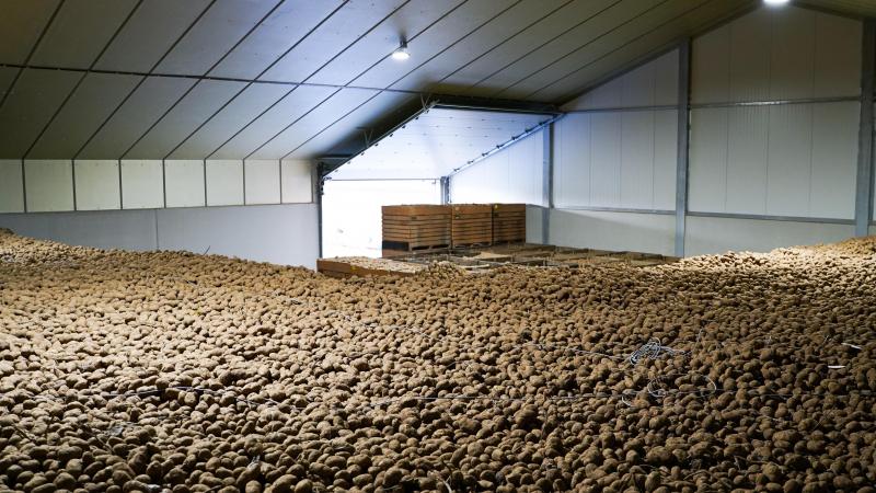 Sectororganisatie Belgapom meldt op 28 november een notering van 15 euro/ton (zonder btw) voor het aardappelras Fontane.