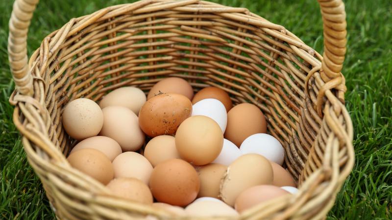 De kans is heel klein dat je van eieren vogelgriep kunt krijgen.