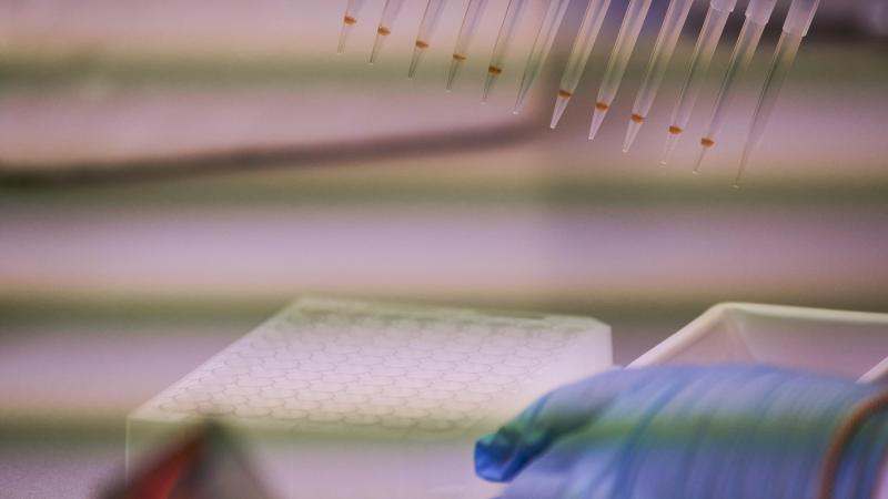 Het Europees Parlement en de lidstaten hebben een akkoord over het gebruik van ‘nieuwe genomische technieken’.