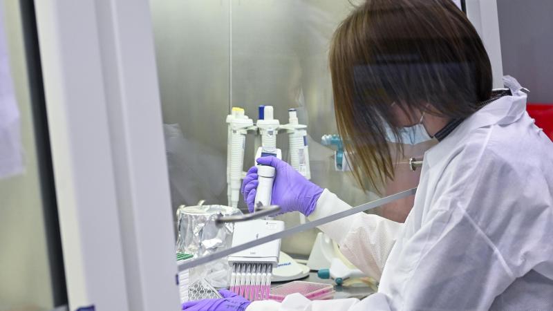 Het voorlopig Europees akkoord over nieuwe regels voor NGT-planten is een belangrijke stap voor de landbouw, vindt Boerenbond.