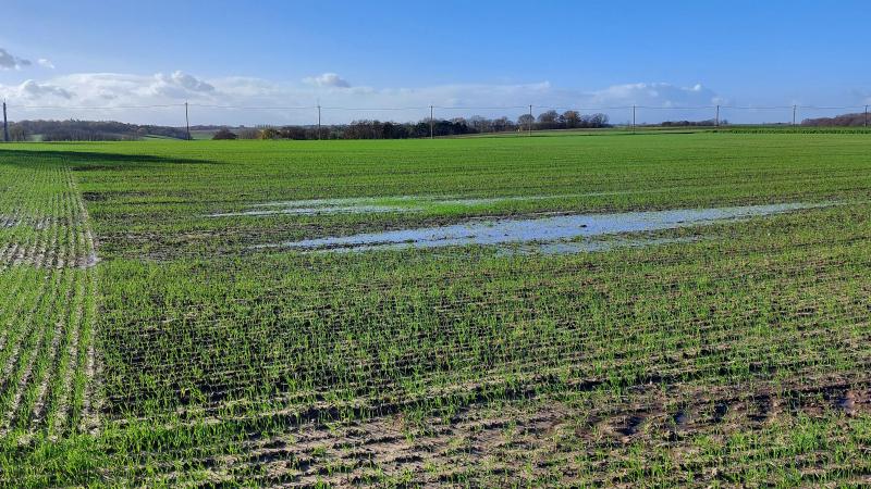 De afgelopen maand november was wereldwijd de derde warmste novembermaand ooit opgetekend.