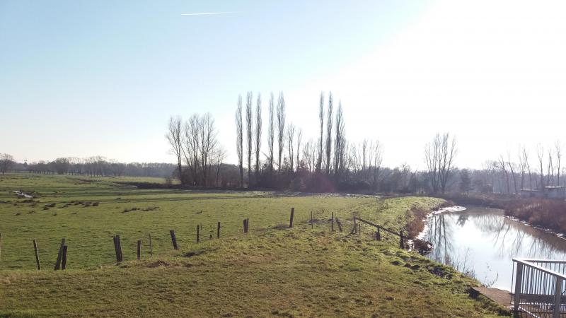 Het demoproject ‘Slim-Buf’ wil landbouwers concrete en werkbare handvatengeven om bufferstroken doeltreffend aan te leggen en te beheren.