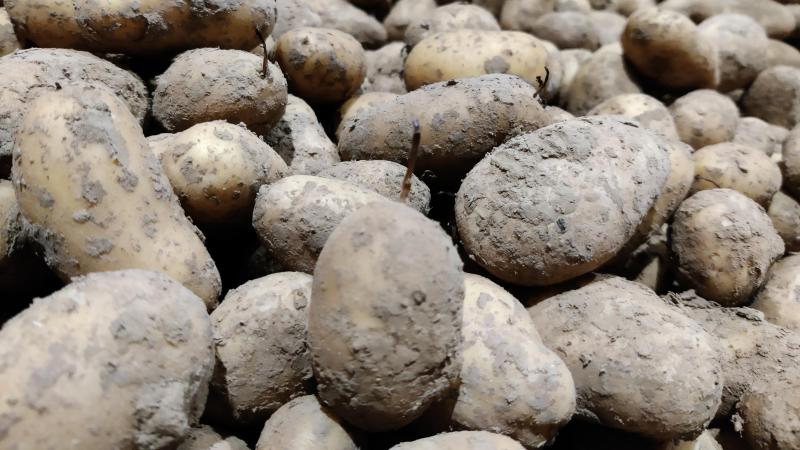 De Belgapomnotering wijzigde niet op 12 december.