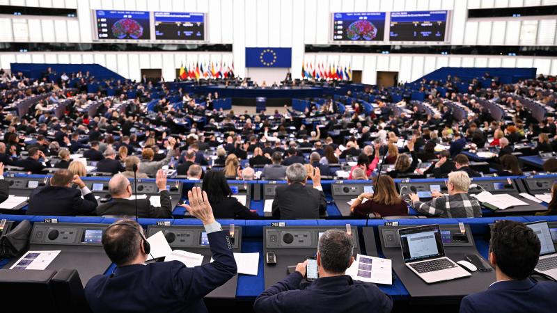 Het Europees Parlement stemde in met strengere beschermingsmaatregelen voor de boeren in het kader van het Mercosur-handelsakkoord.