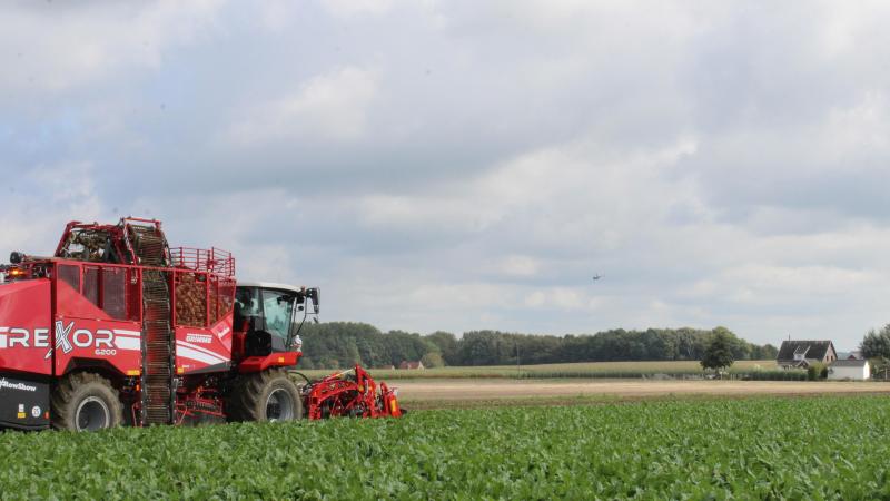 Gelegenheidsarbeid in de land- en tuinbouwsector wordt mogelijk gedurende respectievelijk 50 en 100 dagen via uitzendarbeid.