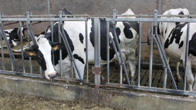 Veekompas informeert en begeleidt landbouwers bij emissiereductiedoelstellingen.