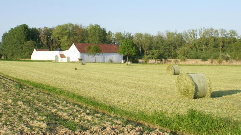 De pachter is niet verplicht om de gepachte hoevewoning te bewonen.