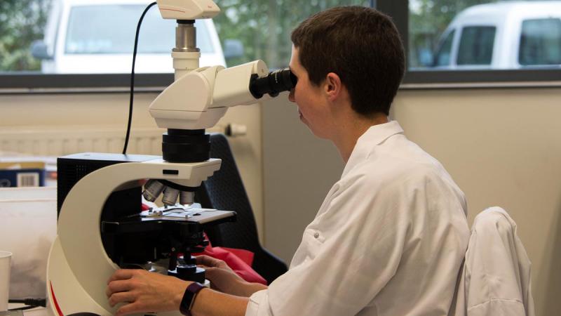 Vanaf 1 januari past DGZ nieuwe tarieven toe voor autopsies en ophalingen die niet kaderen binnen de epidemiologische bewaking.