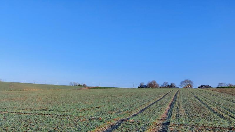 De luchtkwaliteit in ons land is het afgelopen jaar licht achteruitgegaan ten opzichte van 2024.