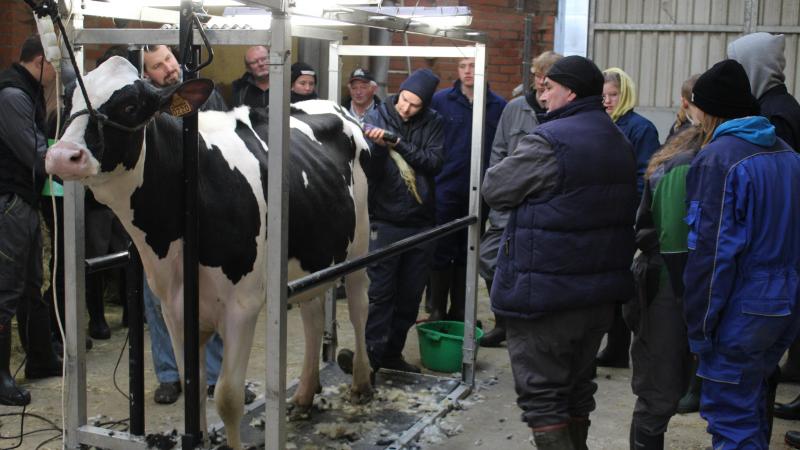 Om de leerlingen optimaal voor te bereiden, wordt de kunst van het clippen en showen toegelicht tijdens instructielessen.