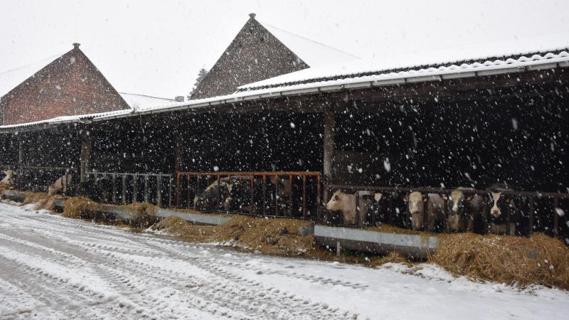De ondervoorzitter van de vzw Verenigde Veehouders hekelt in een opiniestuk de laattijdige rechtsbescherming.