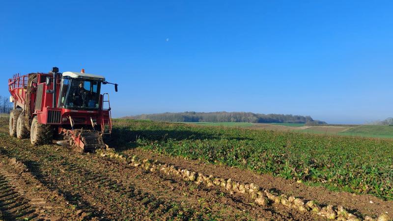 Het huidige Mercosur akkoord is oneerlijk en schadelijk voor de Europese landbouw en in het bijzonder de suiker-, rundsvlees- en gevogeltesector, stelt de CBB.