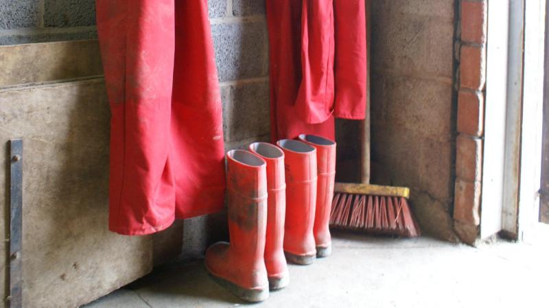 Vrijwel alle bedrijven voorzien bedrijfskledijen -schoenen voor bezoekers.