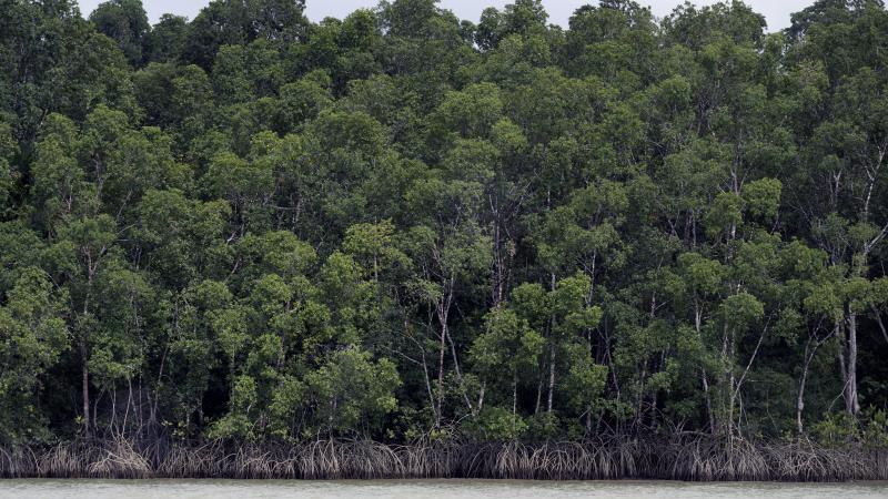 De milieuorganisatie vreest voor het Amazonewoud en kleine boerderijen in Europa en de Mercosur-landen.