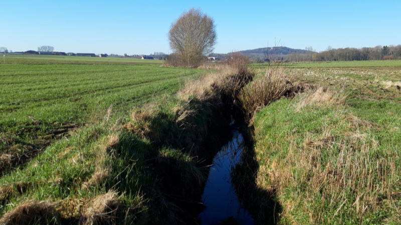 Met peilgestuurde drainage kan je water in de bodem in natte periodes beter vasthouden om gewassen door droge periodes te helpen.