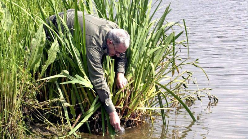 Onderzoekers hebben analyses uitgevoerd en stalen genomen op 80 meetpunten in de Maas om zo de bron van de vervuiling op het spoor te komen.