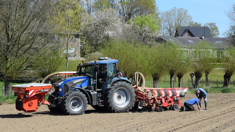 Het juiste maïsras zaaien is geen evidentie.