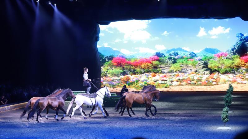 Op 20 december vond in Dortmund de première plaats van de nieuwe show van Cavalluna, ‘Gate to the Otherworld’.