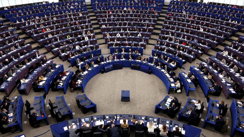 Het Europees Parlement beslist komende week in Straatsburg of het handelsakkoord met Mercosur tot 2 jaar vastzit in gerechtelijke procedures.