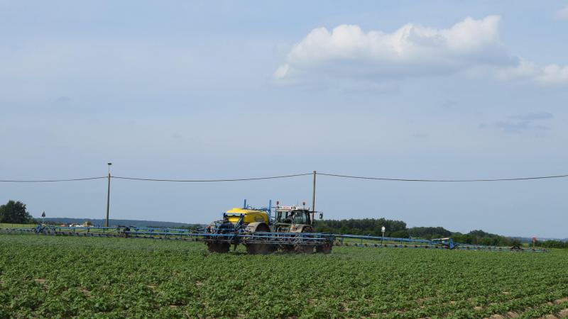 Een goede IPM-strategie begint bij het vermijden van ziekten, plagen en onkruiden.