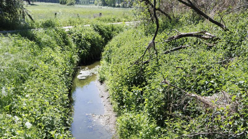 Niet elk land pakt de nutriëntenvervuiling op dezelfde manier aan.