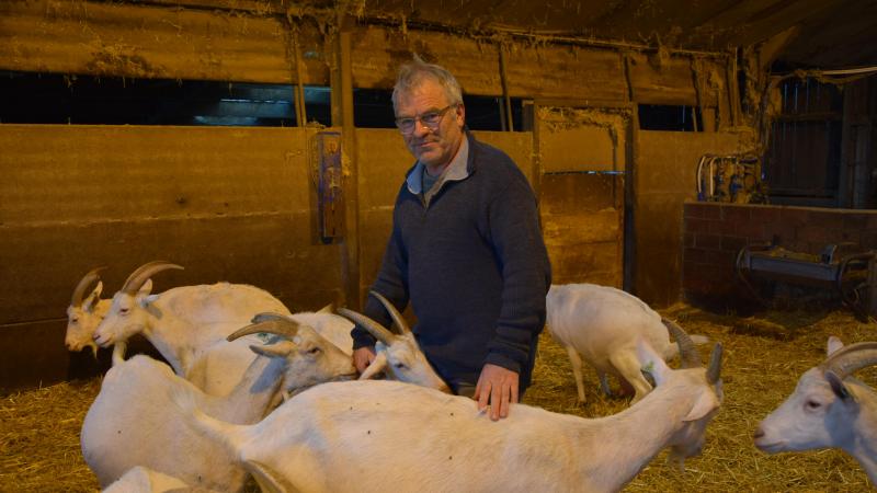 Renaat Devreese: Zeolieten zijn geen wonderoplossing, maar hebben een duidelijk positief effect op verschillende punten van de bedrijfsvoering.