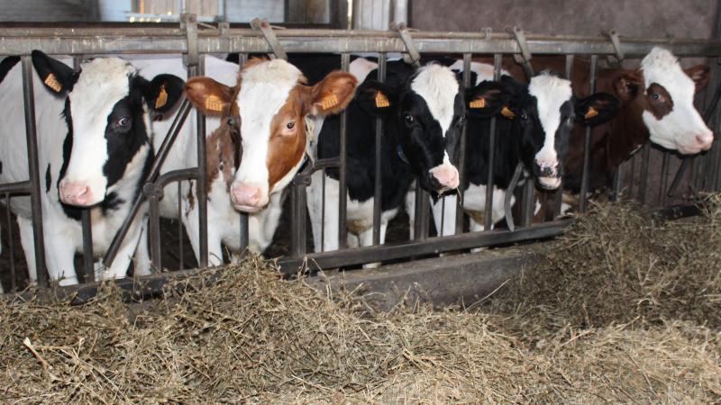 Het einddoel blijft een IBR-vrij statuut voor België.