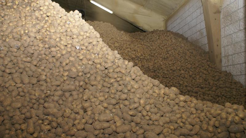 Belgapom meldt op 23 januari een notering van 15 euro/ton (zonder btw) voor de aardappelrassen Fontane en Challenger op de vrije markt.