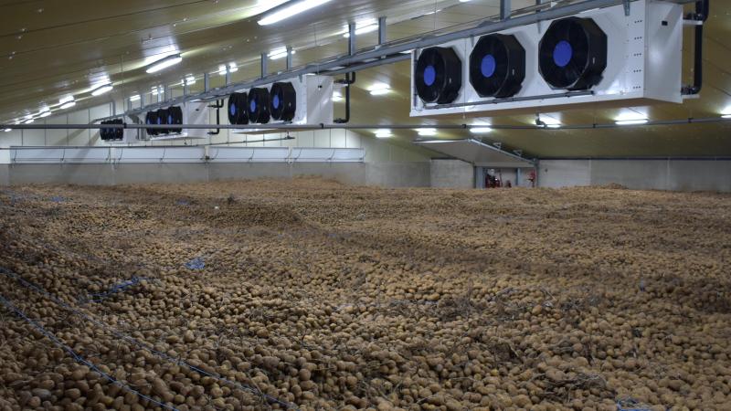 Doen er zich temperatuurschommelingen voor in de aardappelhoop, dan is dit nefast voor de kiemlust en de bakkleur.