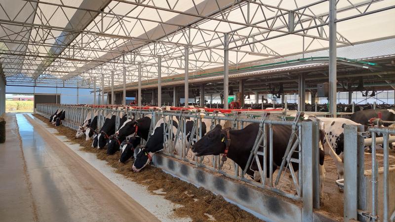 Het ABS heeft felle kritiek op het landbouwbeleid van de provincie Antwerpen.