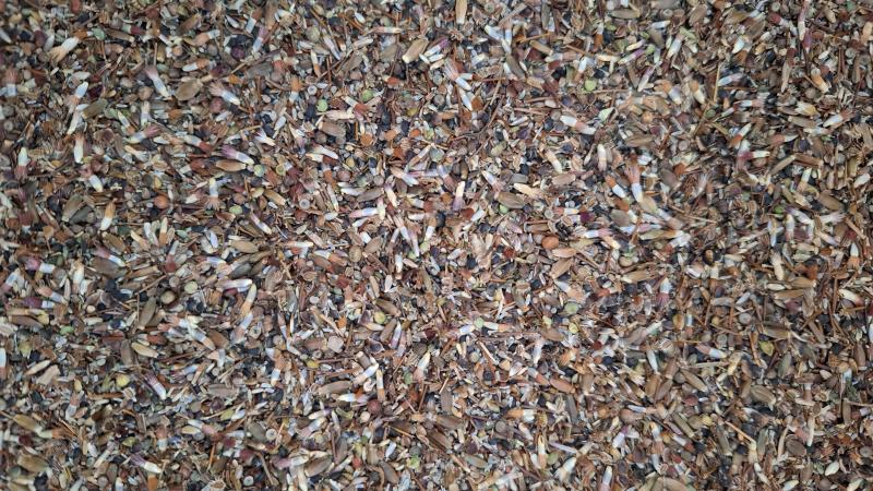 Een mengsel autochtoon zaadmateriaal van diverse wilde bloemen.