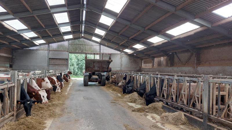 De mestbankaangifte moet uiterlijk 31 maart 2026 ingediend worden.