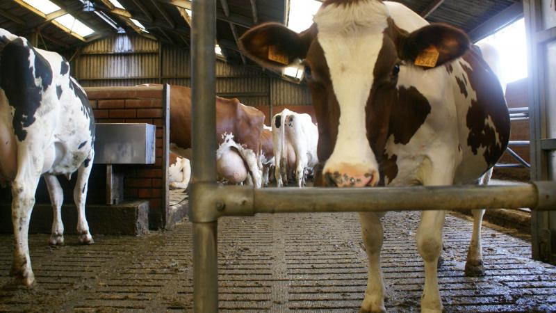 In bepaalde gevallen kan je een afwijking kan aanvragen op de berekeningsmethode van de referentiesituatie 2021.