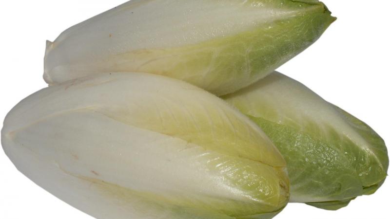 Door in te zetten op publiekscampagnes en een eerlijke prijs voor de telers wil Boerenbond deze klassiekernieuw leven inblazen.