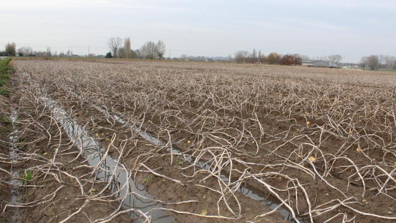 Minister Brouns is op zoek naar voldoende budget om de brede weersverzekering haalbaar en betaalbaar te houden.