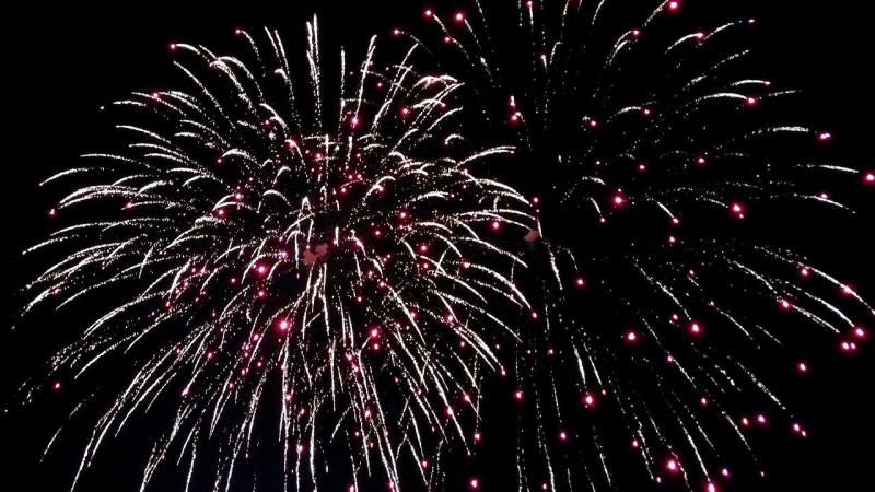 In Nederland zijn recent stappen gezet naar een nationaal verbod op de verkoop en het gebruik van vuurwerk door particulieren.