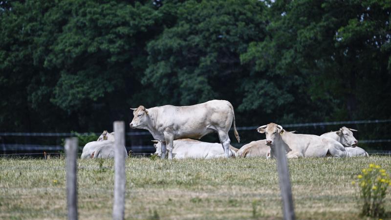 De landbouwsector is in iedere provincie anders.