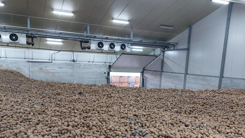 Met de aardappelkwaliteit zit het momenteel goed.